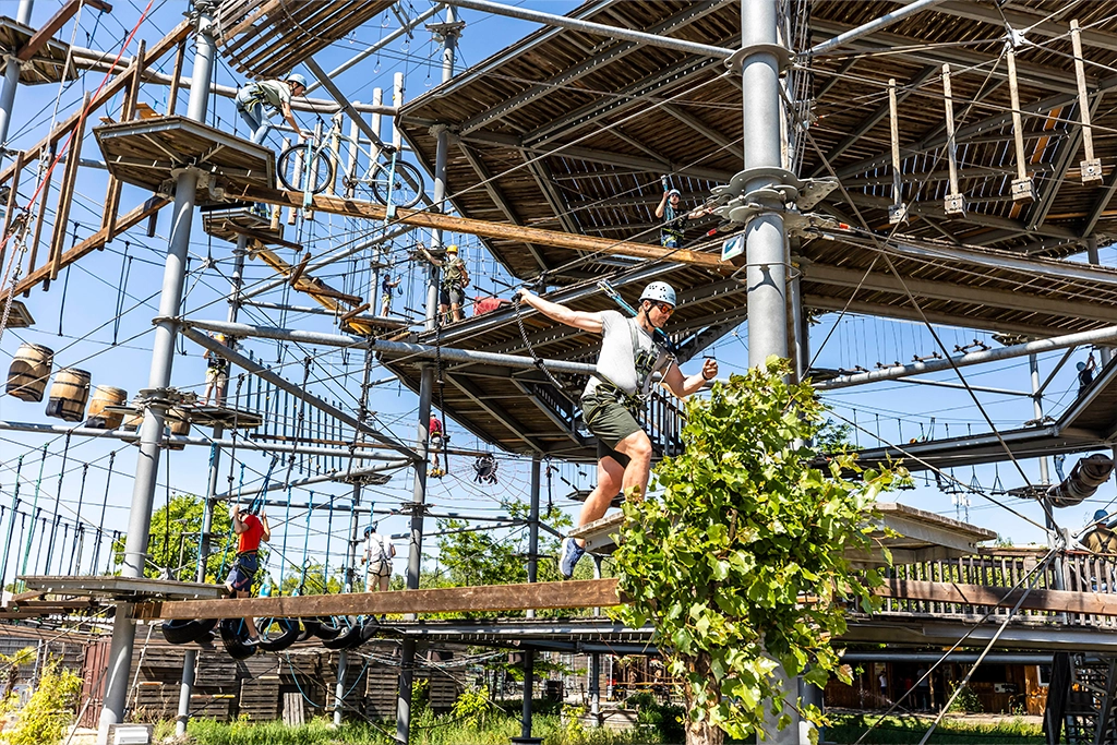 bm_blog_mountmitte17